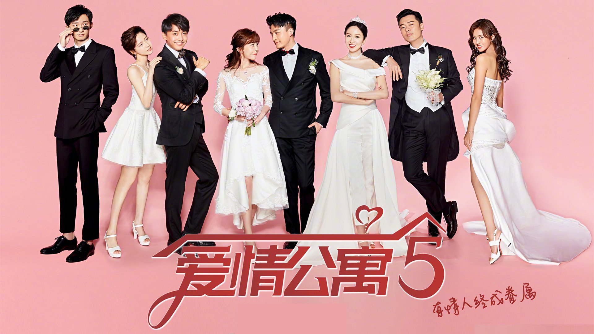 中澳仰泳对决成整场走向关键,澳大利亚仰泳