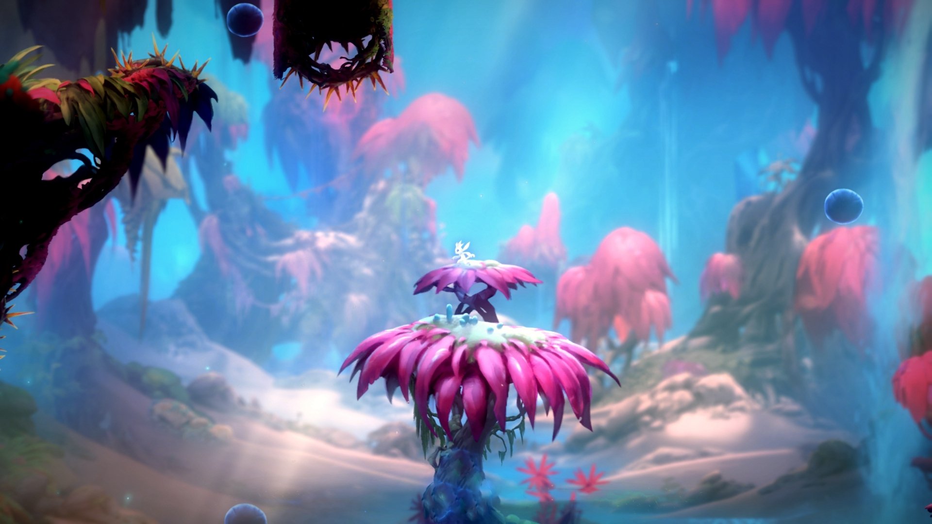 亚冠联赛中国队逆袭 球迷现场气氛热烈,亚冠的中国球队