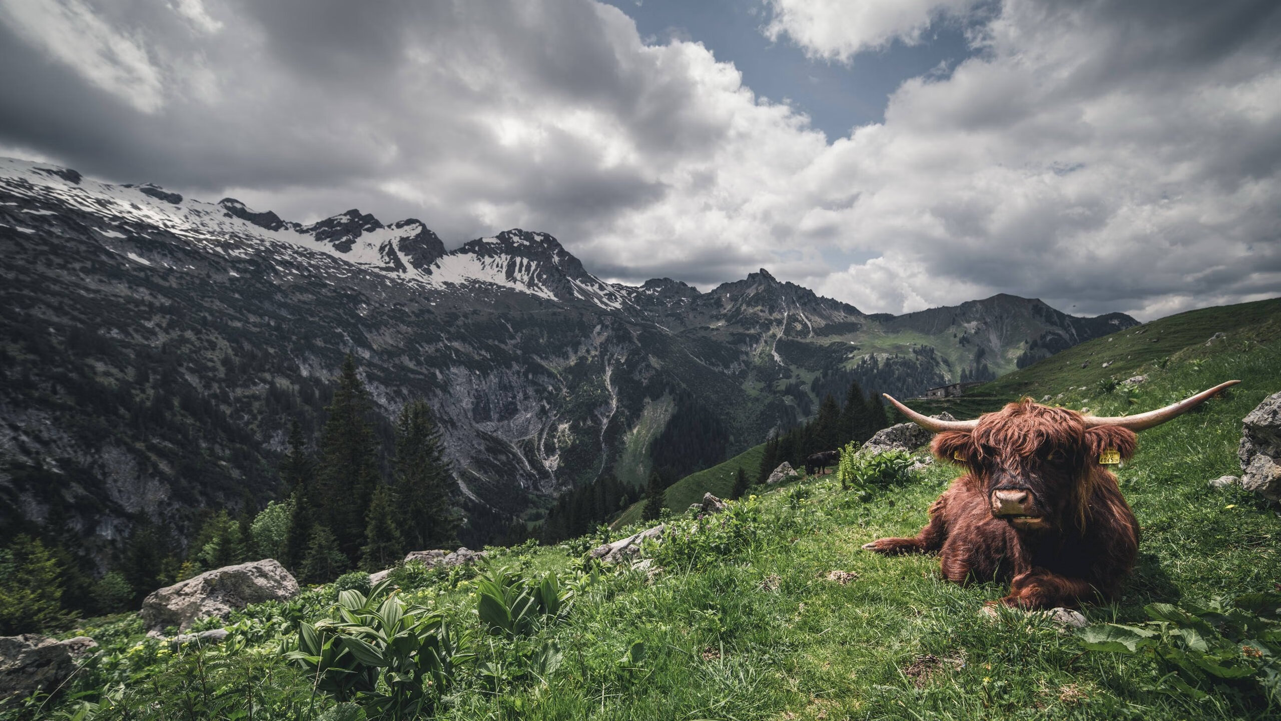 体育新闻中心发布体育短视频运营风险监测手段建议,如何创意体育类短视频