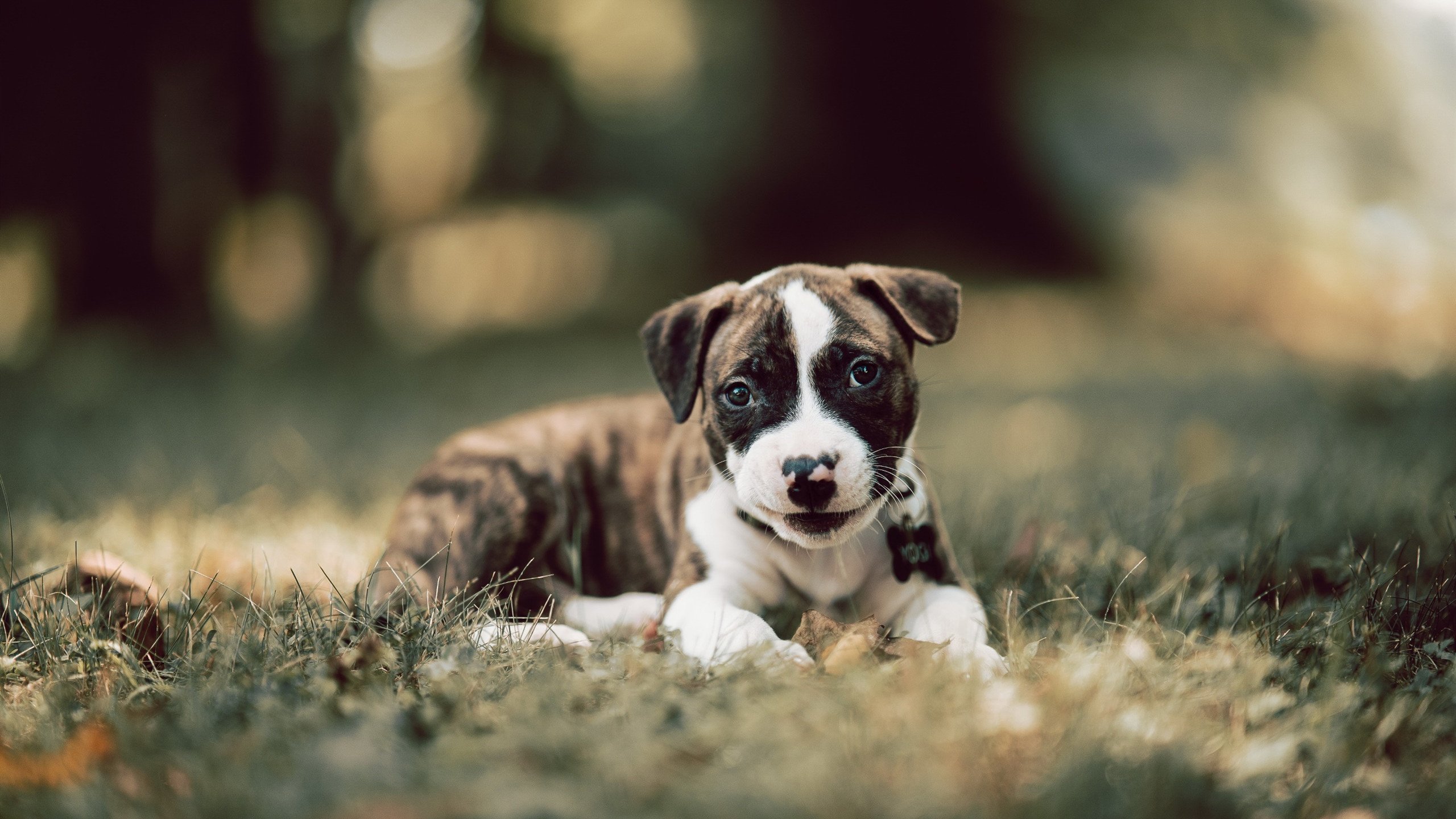 外线防守是否应根据进攻节奏制定策略,篮球外线防守