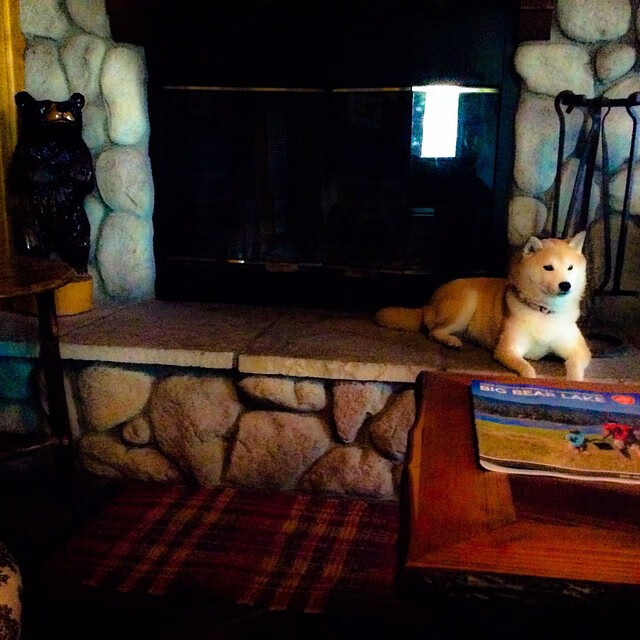 自由泳项目三强角逐 奖牌榜不断刷新,4×200自由泳金牌