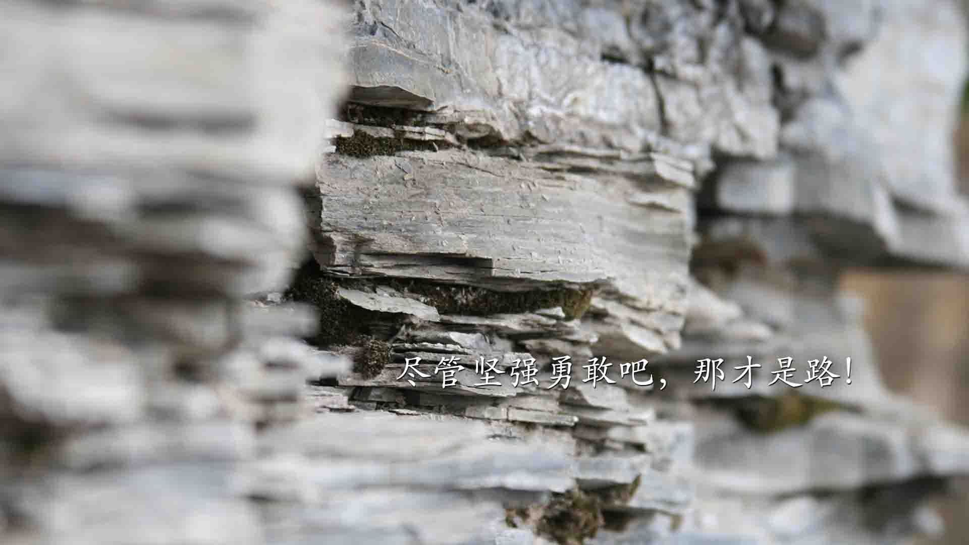 “费尔南多·比亚尔巴的球场统治力,阿根廷美洲狮队的进攻核心”