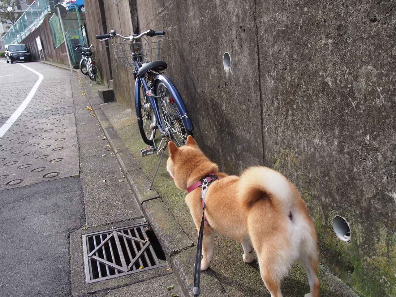 基:全黑队的“防守盾牌”,每次对抗都精准而有力