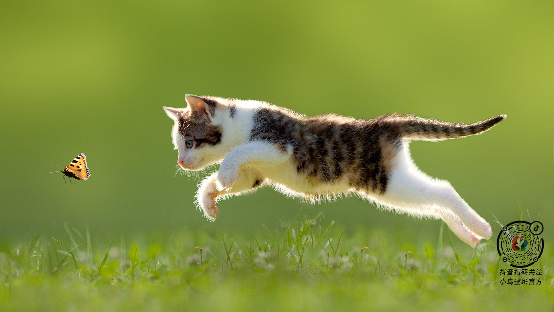 开云体育链接-欧洲杯决赛经典：一种战术，万千变化，欧洲杯¼决赛