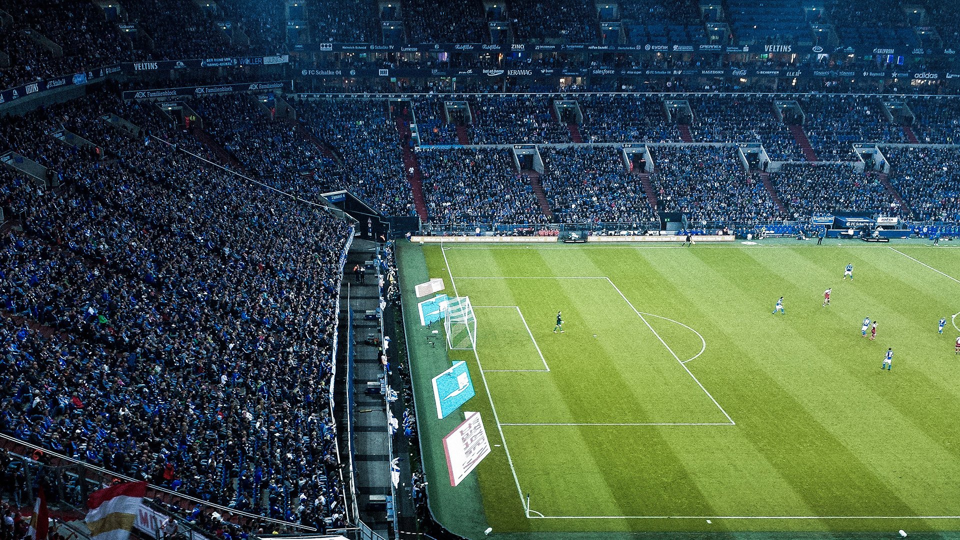 美洲杯热血沸腾:明星拼搏,精彩不断!,美洲杯现场观众