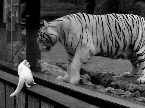 开云体育app注册-一位教练改变一生！恩里克点燃登贝莱金球梦，恩东贝莱里昂号码